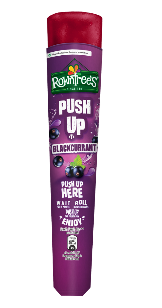 Rowntrees Blackcurrant Push Up 24x100ml