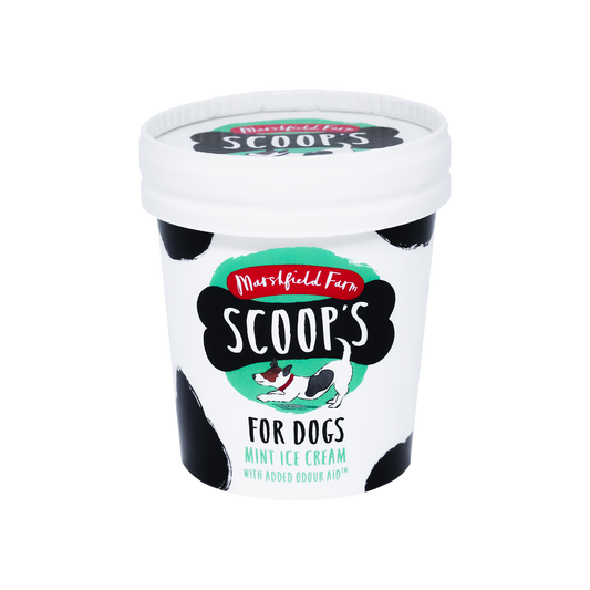 Marshfield DOG Ice Cream Mint Cup 24x125ml