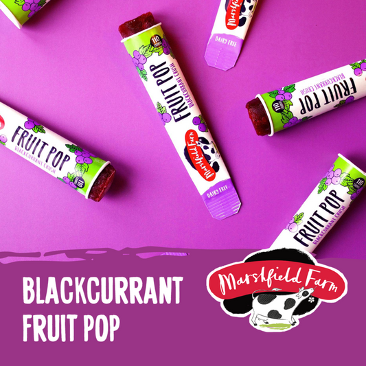 Marshfield Blackcurrant Pops 24x110ml