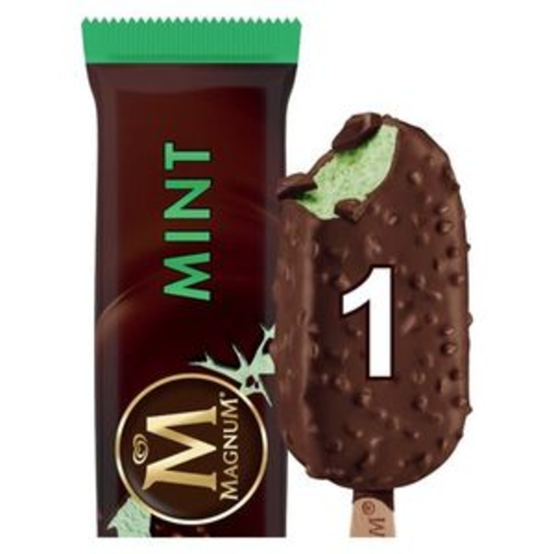Magnum Mint 20x100ml