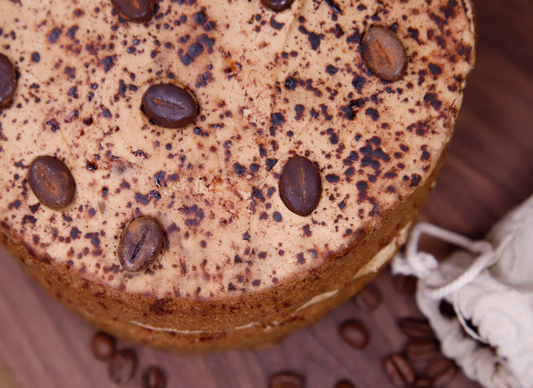 Frozen Coffee Sponge 14x125g