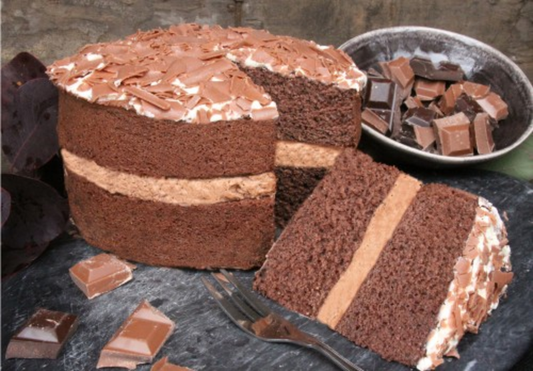 Frozen Chocolate Sponge 14x125g