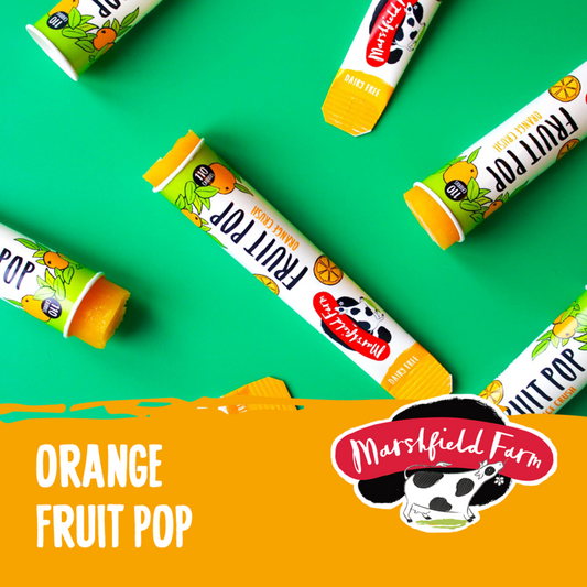 Marshfield Orange Fruit Pops 24x110ml