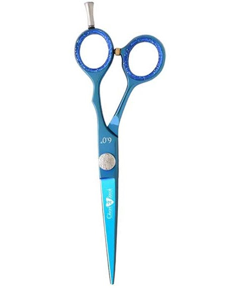 EDWARD X JACOB PROFESSIONAL SCISSORS EXJ064201H Salon Accessories Asetena Pa 