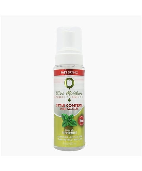 PROFESSIONAL STYLE CONTROL HAIR MOUSSE 500 ml Hair Styling Asetena Pa 