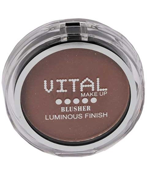 LUMINOUS FINISH BLUSHER 06 BRICK RED Blush And Highligter Asetena Pa 