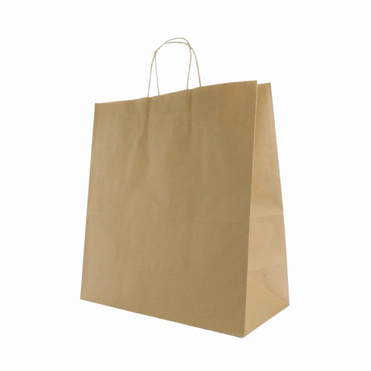 Paper Bags Large 's  1x10's