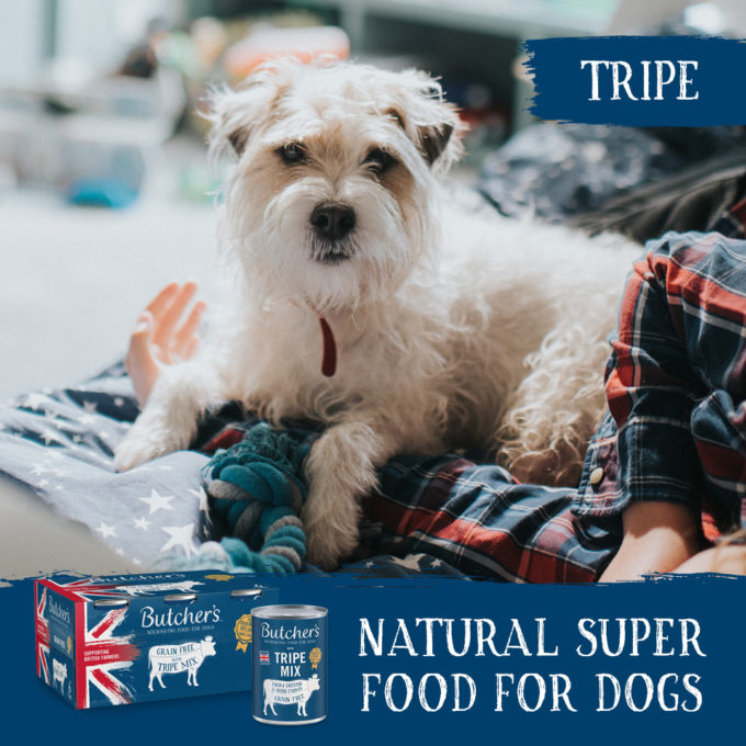 Butcher's Dog Food Tripe Mix    6x1200g