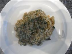 KK Fine Foods Mushroom & Dolcelatte® Risotto 12 x 340g Ready Meals Asetena Pa 