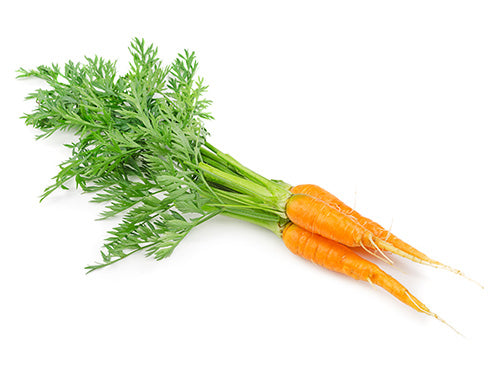 MASBaby Carrot Bunch-Fd