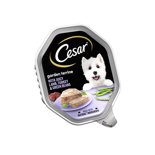 Cesar Garden Terrine Dog Food Tray Lamb Turkey & Green Beans in Loaf 150g