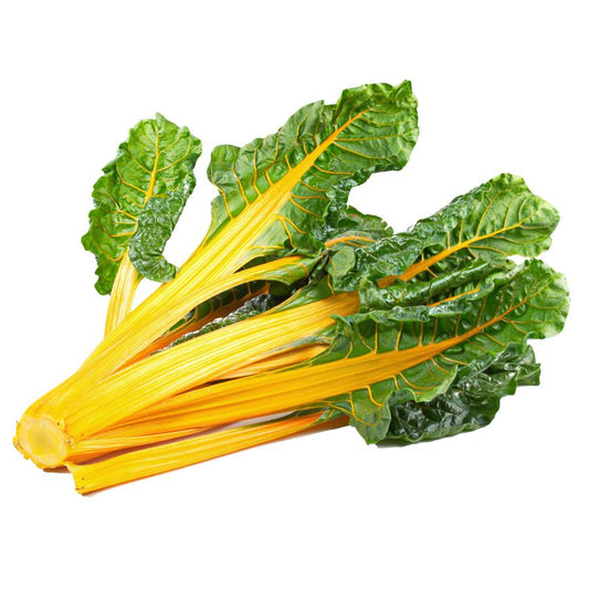 Yellow Swiss Chard