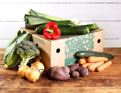 MASMedium Very Veggie Veg Box Organic-Fd