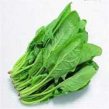 MASFresh Spinach Leaf Bunch-Fd