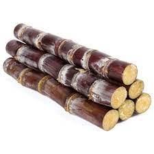 Fresh Sugar Cane 1 Stick-Food