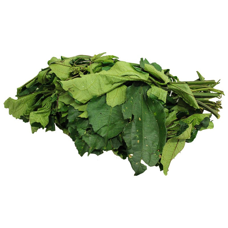 MASFresh Ugu Leaf Bunch-Fd