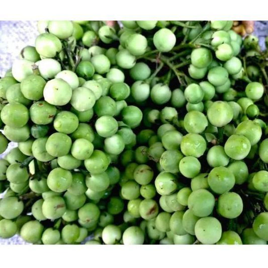 Turkey Berry / Kwahu Nsusaa 250g-Fd