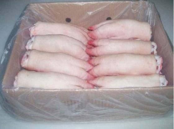 Pork Foot
