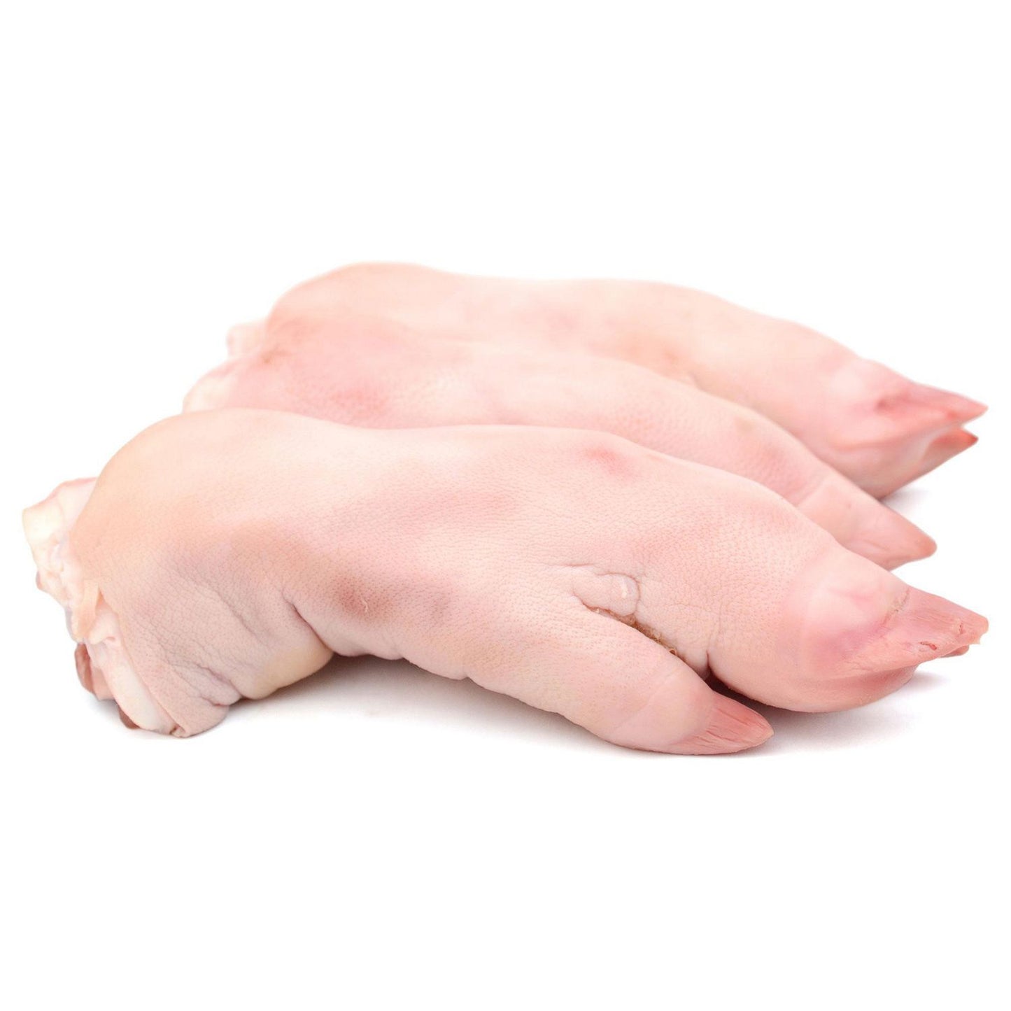 Pork Foot