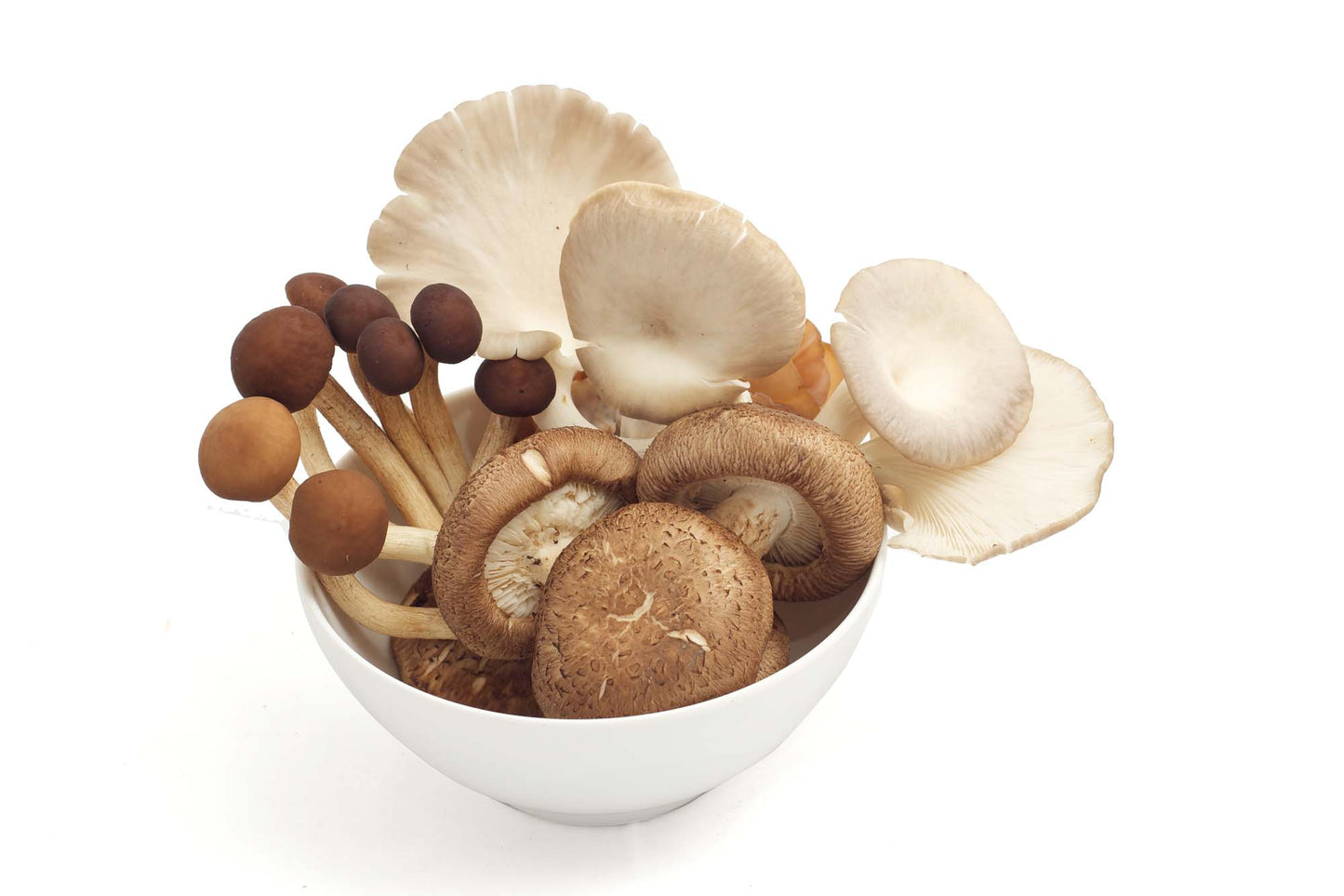MASMixed Oriental Mushrooms-Fd