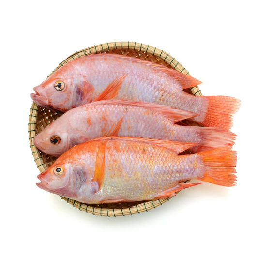 Frozen Red Tilapia Fish (Gutted & Scaled) 2.5kg X 2 Ready Meal Bundles Asetena Pa 