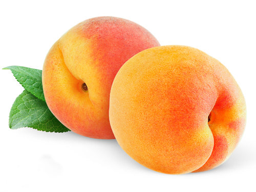 Apricot