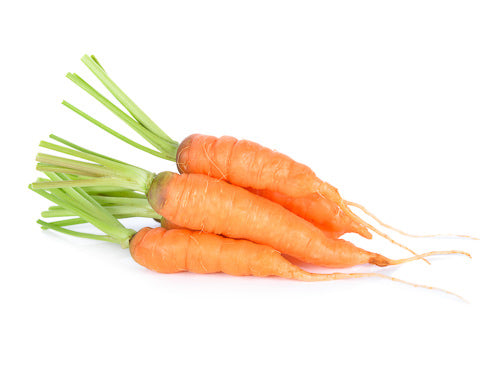 MASBaby Carrot-Fd