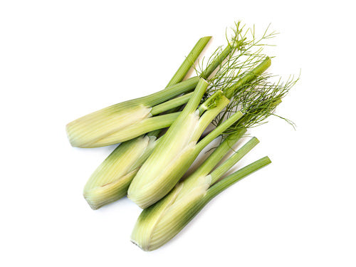 Baby Fennel