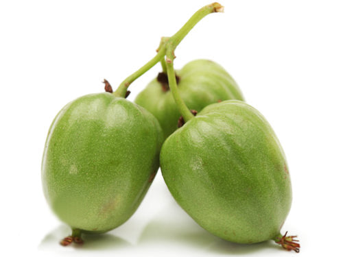 Baby Kiwis