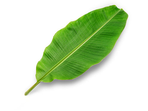 Banana Leaves