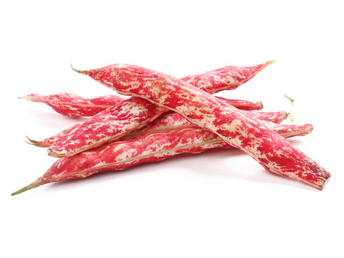Beans & Pods