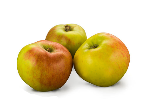 Bramley Apple