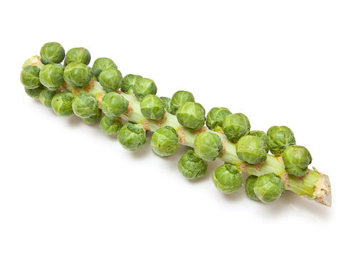 Brussels Sprout Stalk