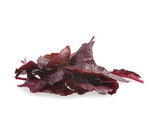 Bulls Blood Chard