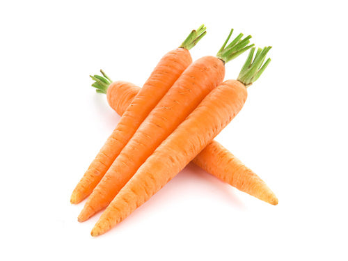 Carrot