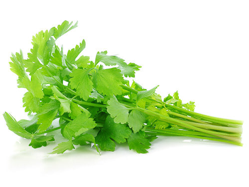 Celery Leaf