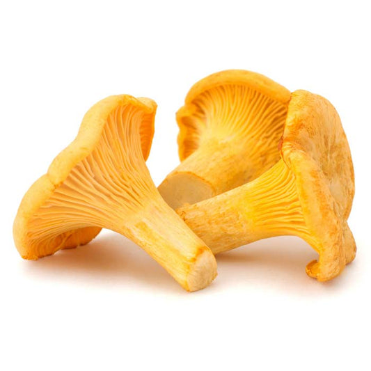 MASGirolles Mushrooms Usa-Fd