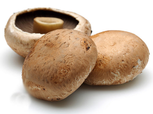 MASChestnut Mushrooms-Fd
