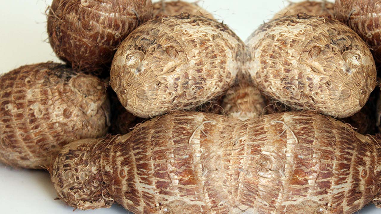 Cocoyam 1KG