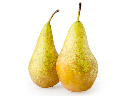 Conference Pear