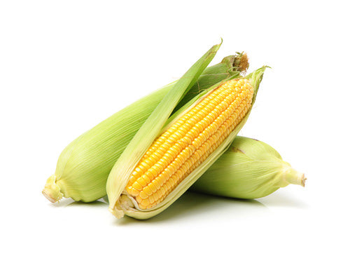 Corn On The Cob