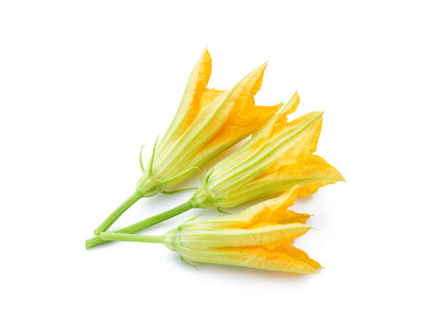 Courgette Flowers