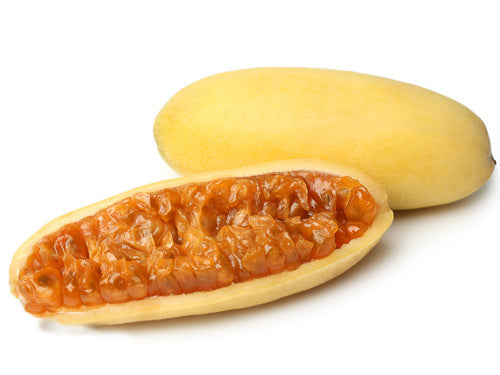 MASCuruba-Fd