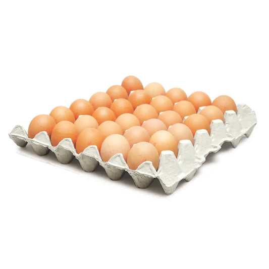 MASLion Quality Medium Eggs-(Size 3) 1 x 180-Food