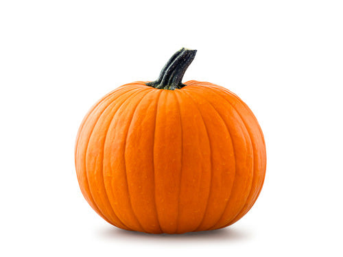 English Pumpkin