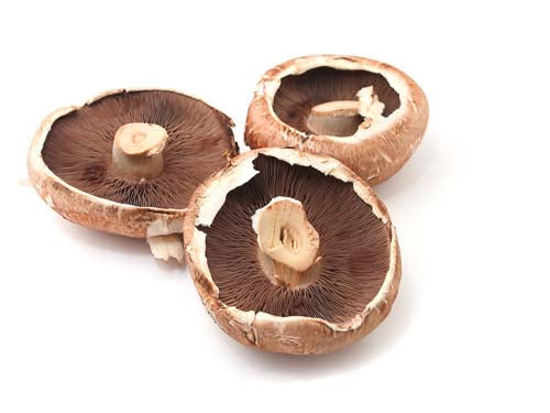 Flat Mushrooms