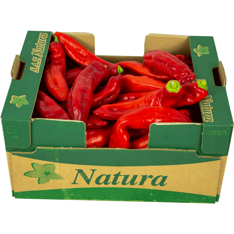 Fresh Long Red Pepper Box