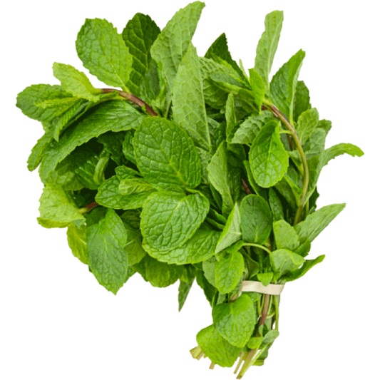 MASFresh Scent Leaf Bunch-Fd