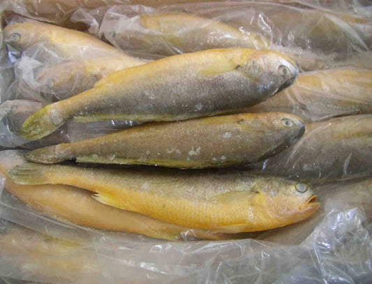 MASFrozen Yellow Croaker Fish (500-800) 2.5kg-Fd