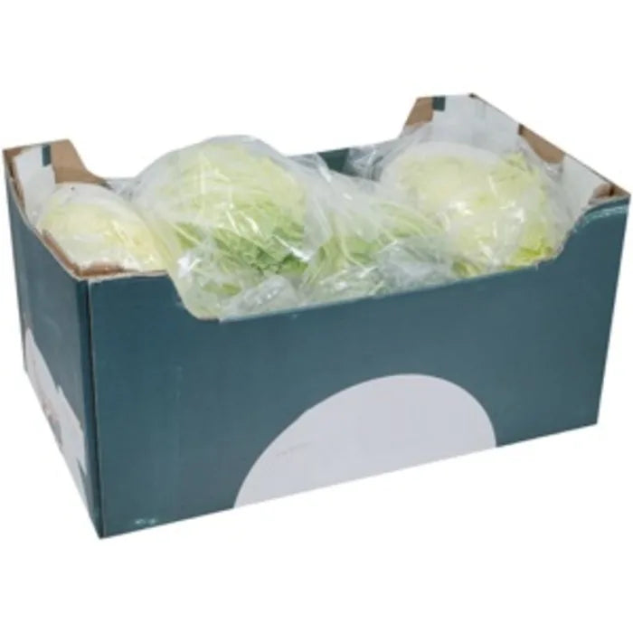 MASFresh Chinese Leaf-1x8-Food